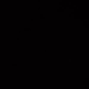 Meet your Posher, Emory